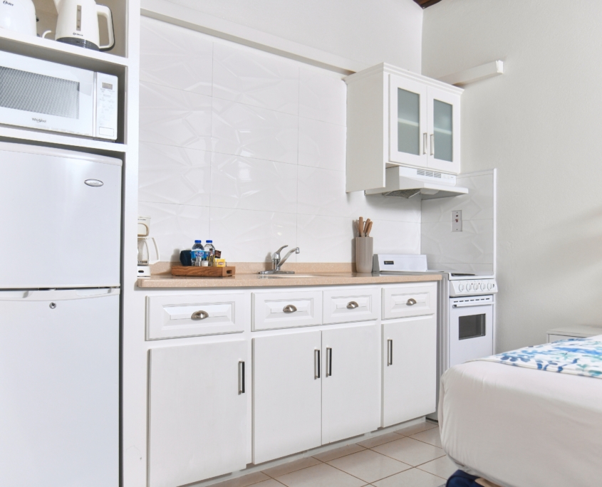 Studio King Kitchenette view